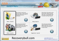   Data Recovery Professional