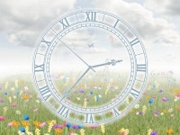   Everlasting Flowering Clock screensaver