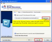   MS Word Recovery
