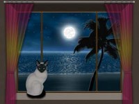   Moon Cat Screensaver