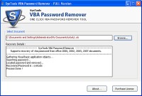   VBA Password Remover Tool