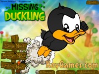   Missing Duckling