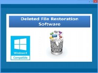   Deleted File Restoration Software