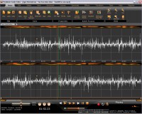   FlexiMusic Audio Editor