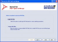   PDF File Splitter