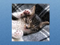   Sleeping Cat Puzzle