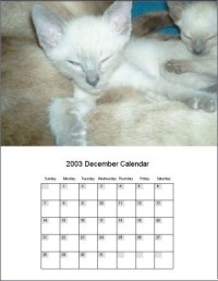  Calendar Designer to design your own calendars with your graphics, make free calendars too!