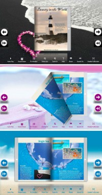   Flip_Themes_Package_Lively_Beach