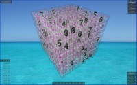   Real Sudoku3D Win32