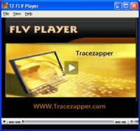   TE FLV Player