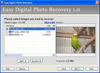 Скачать бесплатно Easy Digital Photo Recovery