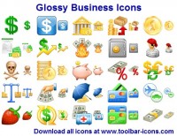   Glossy Business Icon Set