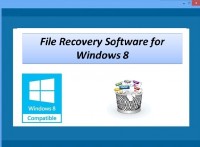   File Recovery Software for Windows 8