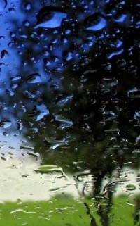  Free Rain On Glass Screensaver