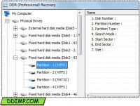   Professional Files Recovery Software