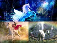   Magic Unicorns Animated Wallpaper