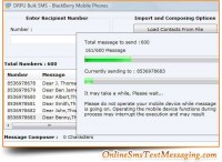   Text Messaging Software for Blackberry