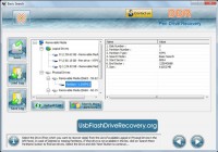   Flash USB Drive Recovery
