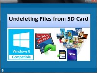   Undeleting Files from SD Card