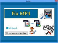   Fix MP4