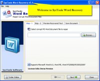   Word Recovery Software