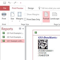   GS1 DataMatrix Font and Encoder Suite