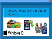   Recover Pictures From Digital Camera