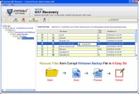   Professional Windows BKF Recovery Tool