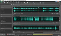   Wavepad Audio and Music Editor Pro