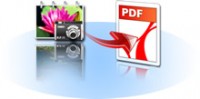   PDF Vision Net