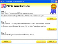   EasytoUse PDF to Word Converter
