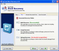   Word File Recovery Software