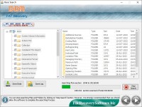   FAT Files Restore Software