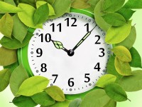   7art Foliage Clock ScreenSaver Mac OS