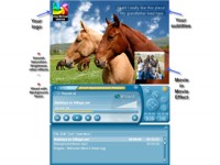   Auto Music Organizer Software Deluxe