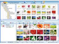   Automated MP3 Music Organizer Software