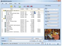   Auto Free Music Organizer Software