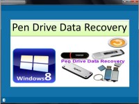   Pen Drive Data Recovery