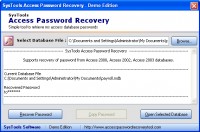   MDB Access Password Recovery Tool