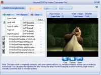   World Cup SWF to Video Converter