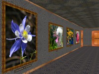   Phota Flowers Screensaver