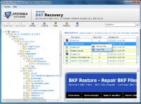   How BKF Repair Tool Works