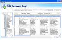   Restore Microsoft Database File