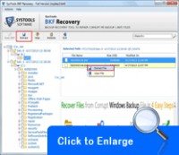   Windows 2003 Backup Recovery