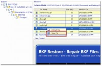   Possible Recovery for Corrupt BKF