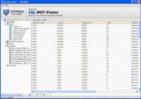   Free Download MDF Repair Software