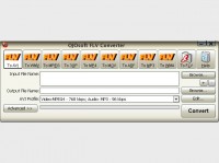   OJOsoft FLV Converter