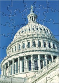   BRPIL U.S. Capitol Building Puzzle