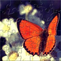   Orange Butterfly Picture Puzzle