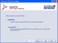   Merge PDF Tool